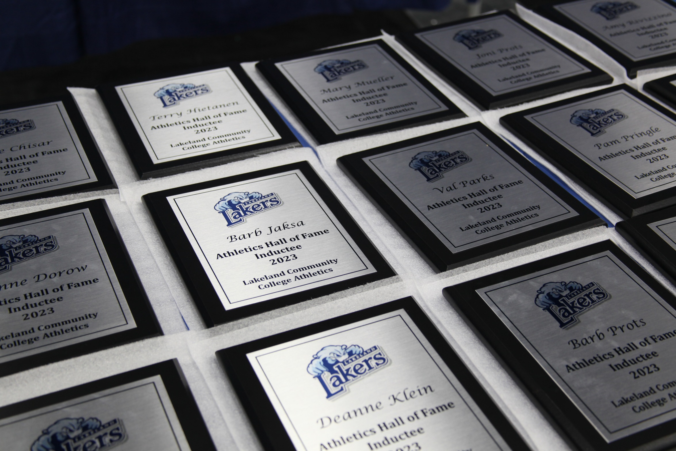 Lakeland Athletics Seeks Nominations for 2025 Hall of Fame Class