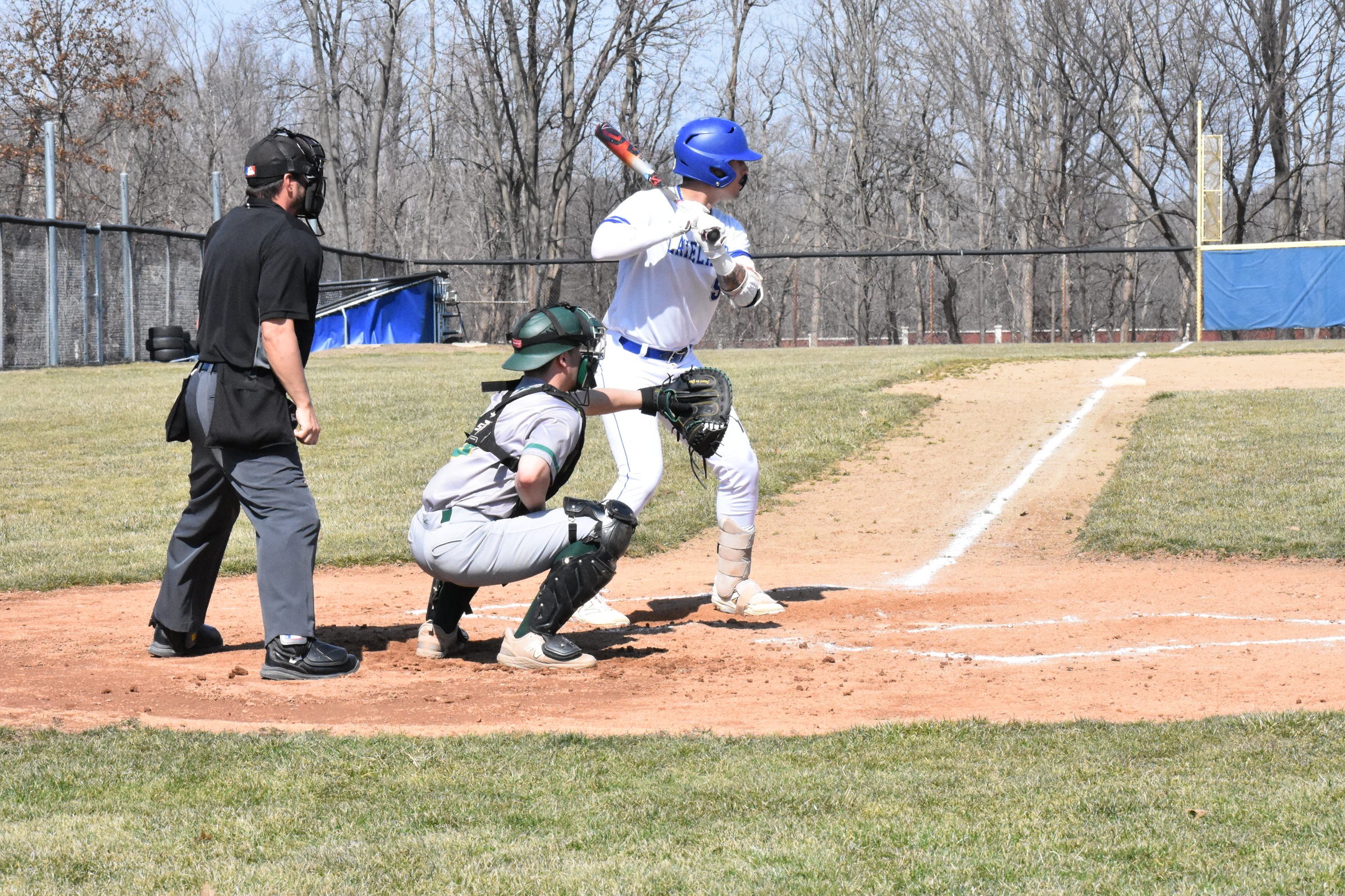 Baseball swept by Triceratops